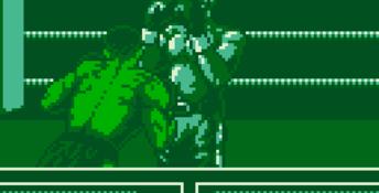 Foreman for Real Gameboy Screenshot