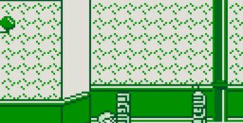 Home Alone 2: Lost in New York Gameboy Screenshot