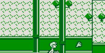 Home Alone 2: Lost in New York Gameboy Screenshot
