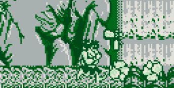 Joe & Mac: Caveman Ninja Gameboy Screenshot