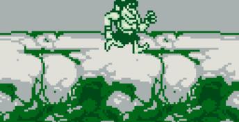 Joe & Mac: Caveman Ninja Gameboy Screenshot