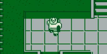 Jurassic Park Gameboy Screenshot