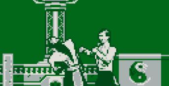 Mortal Kombat 2 Gameboy Screenshot