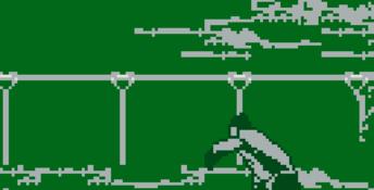 Mortal Kombat 2 Gameboy Screenshot