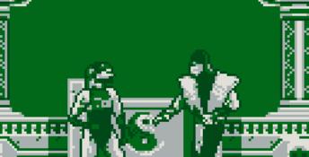 Mortal Kombat 2 Gameboy Screenshot