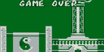 Mortal Kombat 2 Gameboy Screenshot