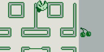 Ms. Pac-Man Gameboy Screenshot