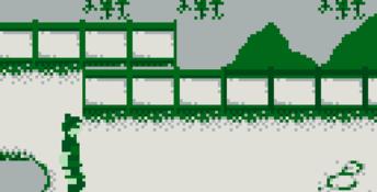 Mulan Gameboy Screenshot