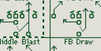 NFL Quarterback Club 96 Gameboy Screenshot