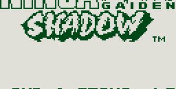 Ninja Gaiden Gameboy Screenshot