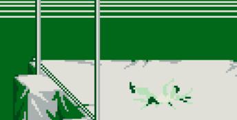 Olympic Summer Games Gameboy Screenshot
