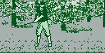 PGA Tour 96 Gameboy Screenshot