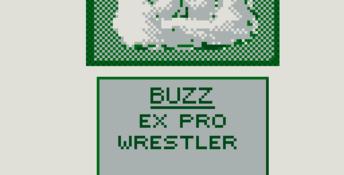 Pit-Fighter (1992) Gameboy Screenshot