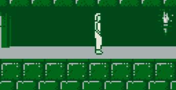 Prince Of Persia Gameboy Screenshot