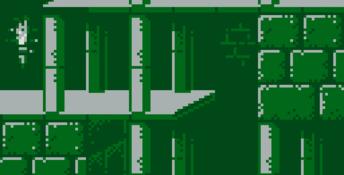 Prince Of Persia Gameboy Screenshot