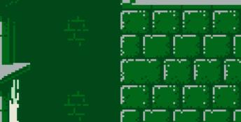 Prince Of Persia Gameboy Screenshot