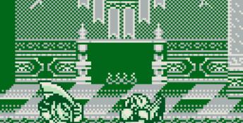 Samurai Shodown Gameboy Screenshot