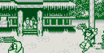 Samurai Shodown Gameboy Screenshot