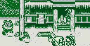 Samurai Shodown Gameboy Screenshot