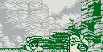 Samurai Shodown Gameboy Screenshot