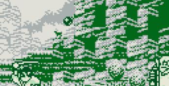 Samurai Shodown Gameboy Screenshot