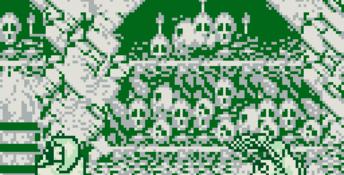 Samurai Shodown Gameboy Screenshot