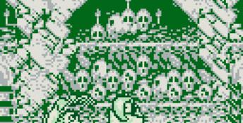 Samurai Shodown Gameboy Screenshot