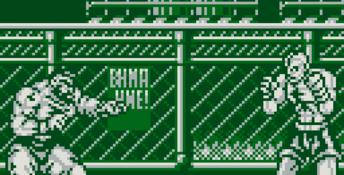 Street Fighter II Gameboy Screenshot