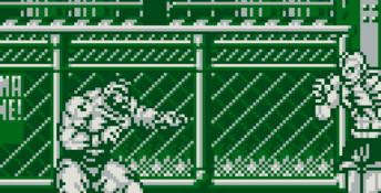 Street Fighter II Gameboy Screenshot
