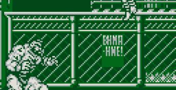Street Fighter II Gameboy Screenshot