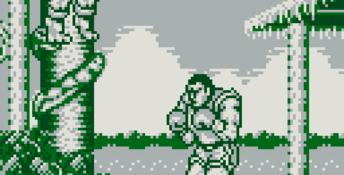 Street Fighter II Gameboy Screenshot