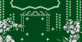 Street Fighter II Gameboy Screenshot