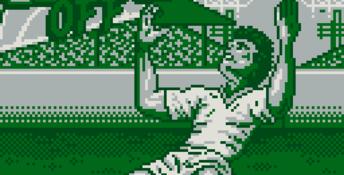 Super Kick Off Gameboy Screenshot