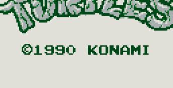 Teenage Mutant Ninja Turtles Gameboy Screenshot
