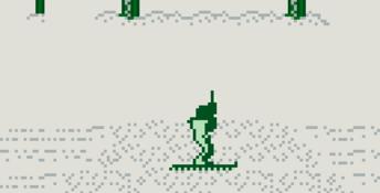 Winter Gold Gameboy Screenshot