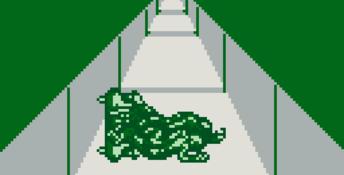 Winter Olympic Games: Lillehammer '94 Gameboy Screenshot