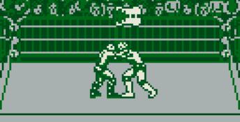 WWF Raw Gameboy Screenshot