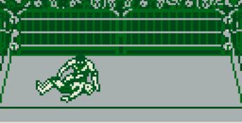 WWF Raw Gameboy Screenshot