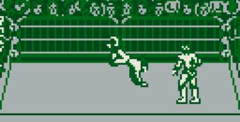 WWF Raw Gameboy Screenshot