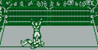 WWF Raw Gameboy Screenshot