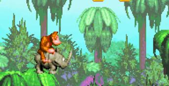 Donkey Kong