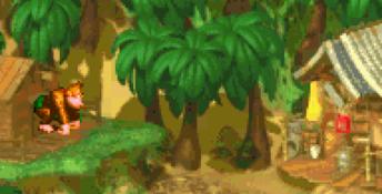 Donkey Kong