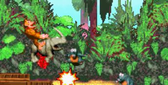 Donkey Kong
