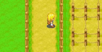 Harvest Moon: More Friends of Mineral Town GBA Screenshot