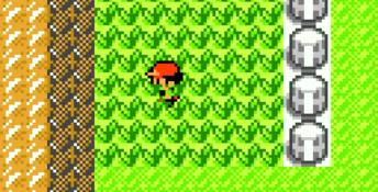 Pokemon Red and Blue GBA Screenshot