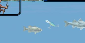Rapala Pro Fishing GBA Screenshot