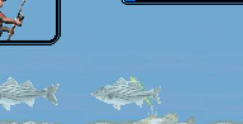 Rapala Pro Fishing GBA Screenshot