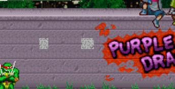 Teenage Mutant Ninja Turtles GBA Screenshot