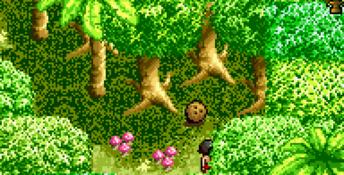 The Jungle Book (1994) GBA Screenshot