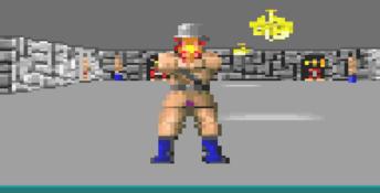 Wolfenstein 3D GBA Screenshot